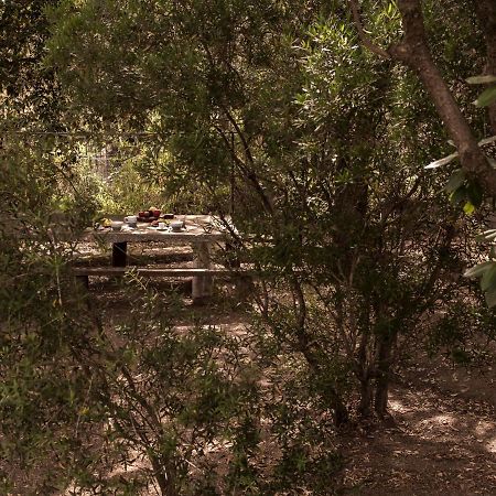 Nel Giardino Dei Pesci Volanti San Pantaleo Exterior foto